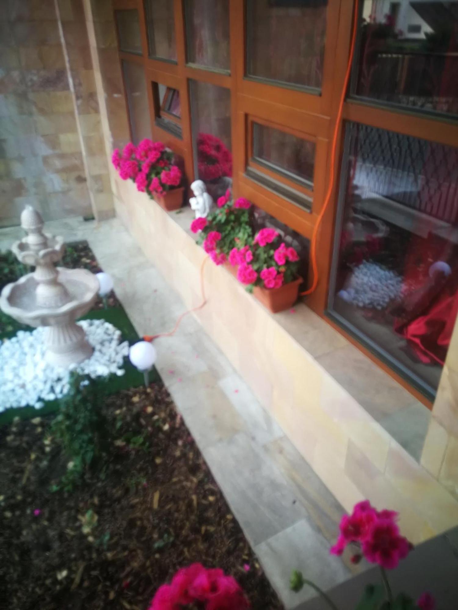 Villa Barrandov Pokoj 3 Praha Exteriér fotografie